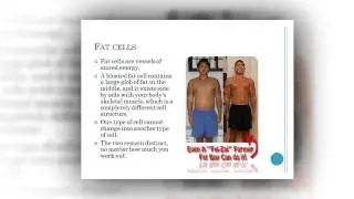 Does Fat Turn Into Muscle?