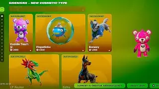 SIDEKICKS: The Biggest SCAM In Fortnite History?!