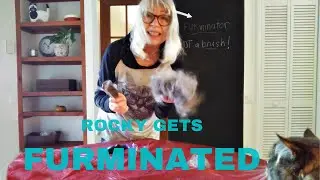 How to FURminate a cat or dog