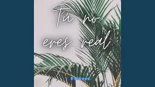 T&uacute; no eres real