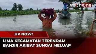 Hujan Deras Picu Sungai Bengawan Njero Meluap, Lima Kecamatan Terendam | UP NOW!