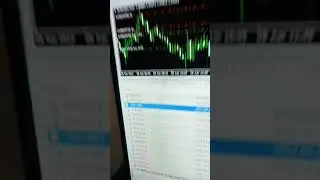 Forex Robot Live Trading With Real Account #forex #automatedtrading #forexearobot #ftmotrader