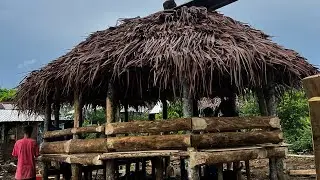 BUILDING A SAMOAN FALEO&rsquo;O || #samoan #creative #forest #viral  #islanders #fun #like #685