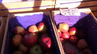 I Love Eating Organic Foods - Trent Saturday Farmers And Antiques Market Trentino Italy