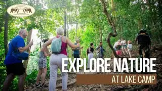 Explore Cheow Lan Lake&rsquo;s Hidden Caves & Jungle Trails | Elephant Hills