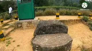 History and present situation of ceylon tea in Sri Lanka as an economic and economic crop