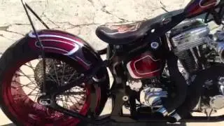 29 hotrod rpu and custom chopper