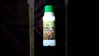 KEVA NEEM AZADIRAHTA INDICA SEED OIL              NEW   PRODUCT