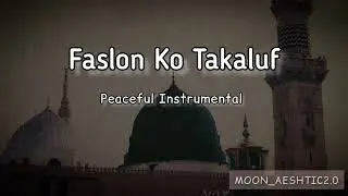 Faslon Ko Takaluf Hai Agr || Mind Relaxing Flute Instrument Naat|| Moon_Aeshtic2.0