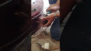 Bakery machine maintenance  repairing.