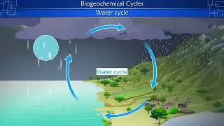 How We Explain the Water Cycle Through Animation | Conceptual E-Learning Video