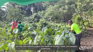 What is Nature based-Solutions (NbS)?