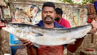KASIMEDU SELVAM FISH CUTTING | UK SONS MARINE 🇮🇳