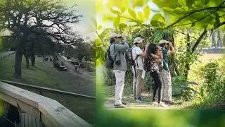 Reserva Ecologica Costanera Sur