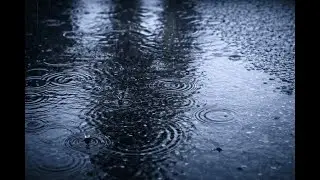 Rain Falling on a Puddle 🌧️ | 10 Hours of Pure Rain Sound for Sleep, Focus & Relaxation