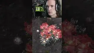 Ravagers Counter BCs?!?! | #sc2 #zerg #terran #bc #mech