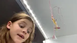 Ella leest voor - Geronimo Stilton: De Rimboe In - Deel 1