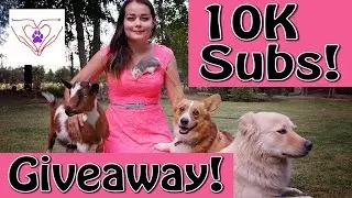 10 Thousand Subscribers Giveaway!!!
