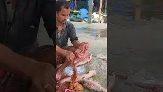 Relaxing Fish Cutting Videos for Maximum Satisfaction and Skill #KnifeMastery #ProTips