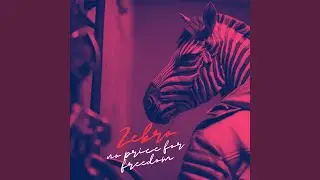 No price for freedom