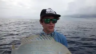 stickbaiting/jigging the Bunker Group