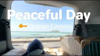Road Trip to the Sea | Quiet Ocean View from a Car with Nature Sounds (No Music)