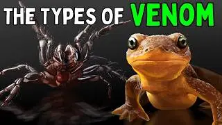 All 4 Types Of Venom Explained