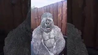 Evolution #evolution #gorilla #monkey #2001aspaceodyssey