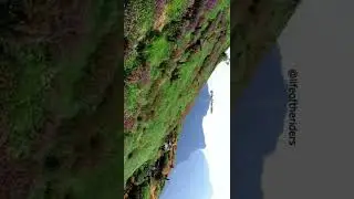 Drone Shot | Ratangad fort | Karvy flower