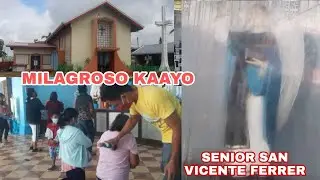 ANG MELAGROSONG SENIOR SAN VICENTE FERRER SA AGUIPO MABINI BOHOL PHILIPPINES