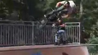 Felt Scotty Wood Park video