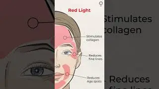 PROTOUCH | Experience the 3-in-1 LED Light Therapy Treatment for rejuvenated skin.