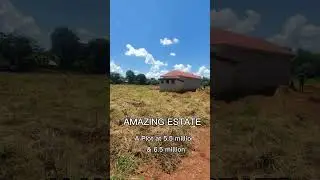 #realestate  #buyplots Amazing Estate  #ownproperty #bestplotwithbest #property #investment #land