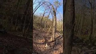 Fagan sprins trail #hiking #montesano #chulada 💯💯👌👌🔥🔥