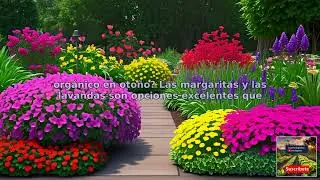 Navega por ideas y consejos sobre floraci&oacute;n que se deben tomar en cuenta para un huerto org&aacute;nic...