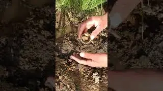 I found the treasure they hid in the creek bed and got it, amazing#shorts