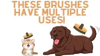 Great brushes with multiple uses!