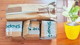 Nursery Live Plant Unboxing | Free Gift Unboxing | New Offer Unboxing |