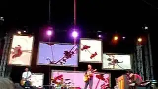 Jack Johnson Live