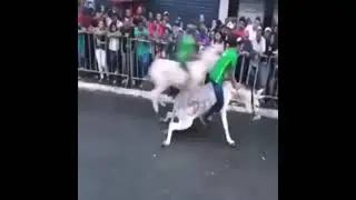 Funny🤣 Donkey Race gone wrong 😜 #short #funny #animal #race #laughter #donkey