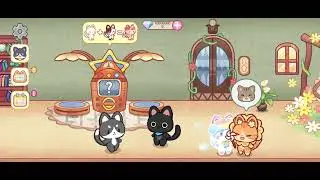Lovely Cat Dream Party New Eggs And New Cats 😺