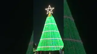 Can you guess how Christmas feels in the UAE