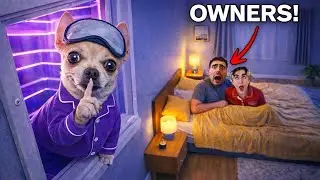 HOW LONG CAN I SECRETLY LIVE IN MY OWNERS BEDROOM? 😱