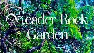 Hidden Gem in Calgary: Exploring Reader Rock Garden 