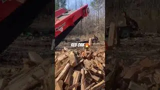 #likeandsubscribe #viral #firewood #brandonms #jacksonms #google #shortvideos #redoak #rabaud