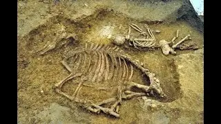 3.7 Archaeology of Early Medieval Europe: It&rsquo;s All About the Graves - No Metal