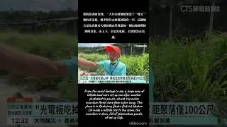 高雄大樹 光電板吃掉山林 居民憂滅村