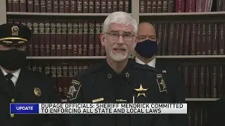 DuPage sheriff won't be censured over assault weapons ban