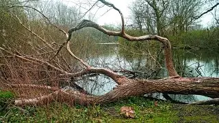 Stanley Park Lake, Blackpool, Lancashire. 11/04/2016.