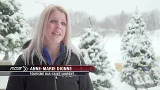 motoneiges 2019 bas st laurent.